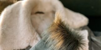 Fashion experts reveal the menswear trends you can expect to see everywhere this winter pexels надежда окопник 5517106 min