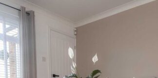 The best houseplants to boost your mood, this Winter Peace Lily min