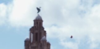 Brad Friedel Exclusive Interview: Liverpool sacking Klopp should NOT be spoken of; Spurs MUST keep Conte; Kane won’t regret not joining Man City + more lloyd kearney jFyVSm5jMlY unsplash min scaled