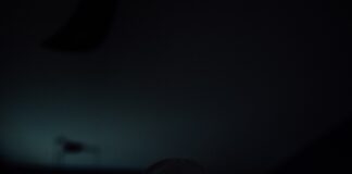 What you need to know to choose the right pair of Men’s Glasses pexels kelly 2387335 min