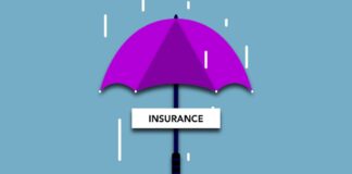 2023 Factors Impacting Home Insurance in the New Year, Byline from Nsure.com pexels monstera 5849552 min