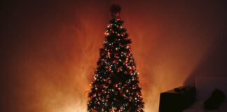 Christmas safety: Making sure your tree doesn’t set on fire pexels nastyasensei 936706 min