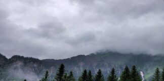 Old Manali: Best Places to visit in Old Manali pexels saifcom 7086911 min