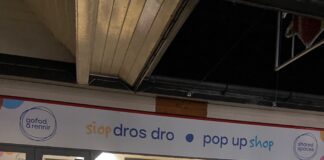 Ditsy Puffin Designs pops up in Haverfordwest shop Pembrokeshire Moments Nov 22 min scaled