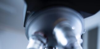 Stem cell therapy in Germany pexels chokniti khongchum 2280547 min scaled