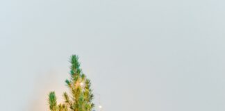 Christmas tree specialists reveal the average cost of running Christmas lights this year toa heftiba BoyJpFL wU4 unsplash min scaled