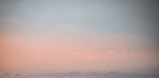 Rumours About Fridge Trailer Hire That Are Untrue pexels ahmet polat 5410923 min