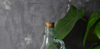 How to bring nature indoors to counteract the blue feeling pexels timi keszthelyi 4650144 min