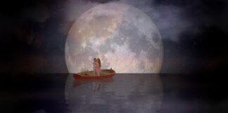 Romance In The Stars: RSPB on How to Stargaze this Valentine’s Day couple g5c0269eda 1280 min 1