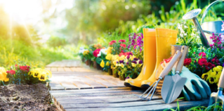 10 gardening jobs for March f9f8eceb 3f43 4522 92d2 4f4e2373c169 min