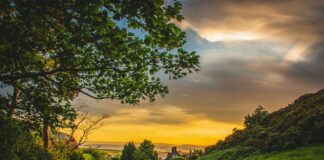 The Areas Of The UK Selling Their House Quickest In 2023 wales