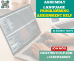 Assembly Language Programming Assignment Help by Programming Experts