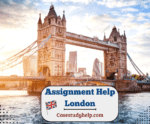 Professional Online Assignment Help London for Students