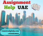 Professional Assignment Help UAE online at Case Study Help