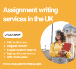 Do you need Assignment Writing Service in the UK by top experts?