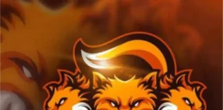 The Definitive Handbook to Fox Guest Posting: A Step-by-Step Guide to Getting Your Content Published Fox Guest Posting min