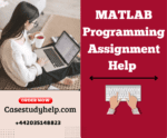 High Quality MATLAB Programming Assignment Help by Programming Experts