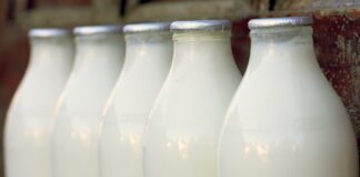 FUW Welcomes The Announcement Of £17 Million Pembrokeshire Creamery Ltd Investment milk