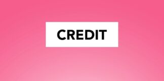 Strategies for Reestablishing Credit Following Bankruptcy pexels monstera 6289033 min