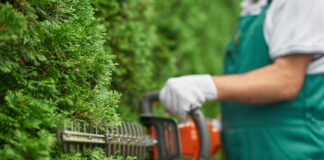 Top tips for shaping the garden hedge 2c664a9e e3a1 4a69 ae9e 1265d99389a1 min