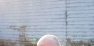 Novice gardeners learn from the experts 3e6af00e 4977 4732 ac61 63458b2e40d9