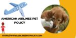 American Airlines Pet Policy