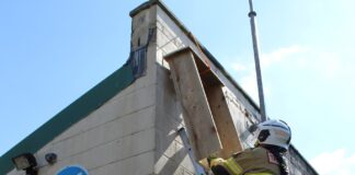 Firefighters Swift-ly Install Nesting Box Bird Box 01 2 min