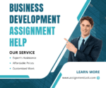 Assignment Task Handles Academic Pressure with 24/7 Affordable Business Development Assignment Help