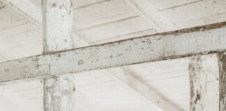 Eva’s Oskar Among the Welsh Hopefuls for Aintree Picture 1 1 min