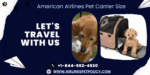 American Airlines Pet Policy