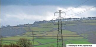 Letter To The Editor img