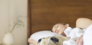 More than a quarter of Brits say that sleeping with their dog improves their mental wellbeing pexels burst 545016 min