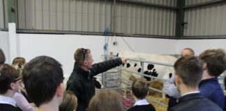 Pembrokeshire Agricultural Society – School children invited to a their food is produced barbecue where they can learn how Food Story Harvest event min min scaled