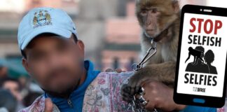 Powerful Report Asks Welsh Holidaymakers ‘Is Your Selfie Worth Their Suffering?’ SS PR IMAGE 1