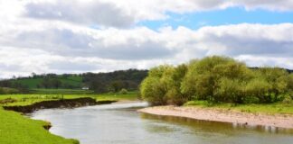 Join the Nutrient Management Board Stakeholder Group of West Wales afon tywi towy river website shutterstock 1298635033