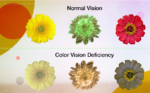How to diagnose and test for color blindness? How to diagnose and test for color blindness?
