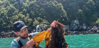 The man turning Pembrokeshire’s waters into a sea garden 2020 05 30 07.32.59 1 min