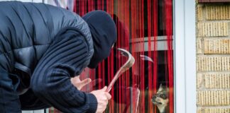 Over 2,000 dogs stolen each year: How pet owners can protect their pooch 316bd4d2 40b6 41e1 bd9e a3d93770d439