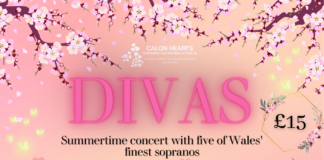 DIVAS 64830458a6a73c051c6303c6