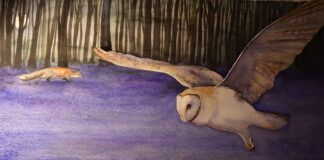 Rediscover The Lost Words of nature and culture at Oriel y Parc from 2 July Bluebell iii © Jackie Morris min