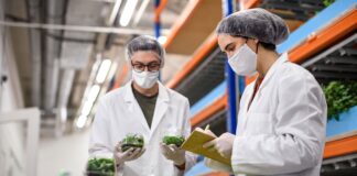 Revealed: The best and worst places in Wales for food hygiene ratings as country falls to 9th in the UK regional rankings Food Hygiene min scaled