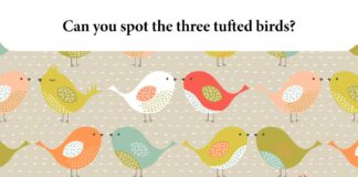 Experts challenge you to solve these tricky interior-themed brainteasers Mzuri Swift Direct Blinds Brainteaser 02 min