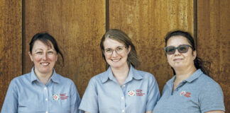 Apprenticeship in Energy Management meets business’ sustainability needs New Energy management qual team