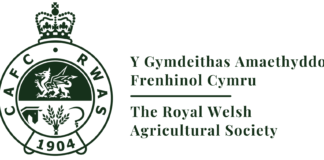 Promising Students receive Royal Welsh Agricultural Society Awards 2023 Royal Welsh logo min
