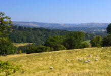 WELSH GOVERNMENT MUST TAKE RURAL POVERTY SERIOUSLY