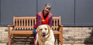 MAKE A PAWSITIVE DIFFERENCE: DOGS TRUST APPEAL FOR VOLUNTEERS Sugar and Sue 2 min scaled
