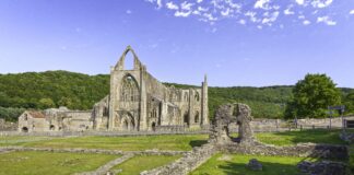 Dechrau prosiect cadwraeth pum mlynedd yn Abaty Tyndyrn Tintern 2 min scaled