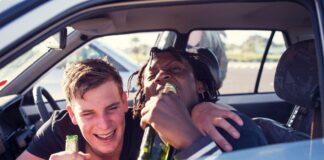 Gottwood Festival: Call for attendees to nominate dedicated driver b254d81f a12b 49f8 bcbf bb8f4624b996 min