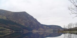 National park residents, England and Wales: Census 2021 cwellyn g22f94c899 1280 min