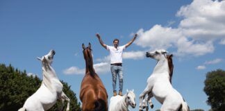 It’s Showtime! Royal Welsh Show 2023 d216da5a 1fba bd17 847f b13e1ec70560 min